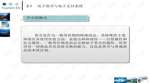 電子商務(wù)之旅游電子商務(wù)支付