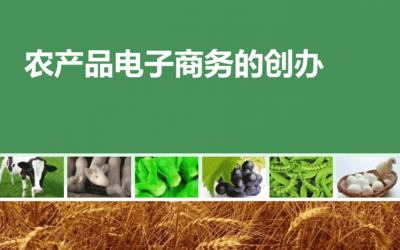 農(nóng)產(chǎn)品電子商務(wù) 理論與實(shí)踐